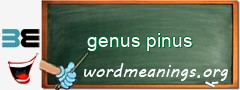 WordMeaning blackboard for genus pinus